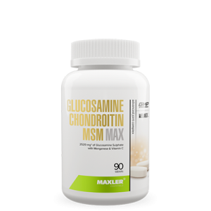 GLUCOSAMINE CHONDROITIN MSM MAX